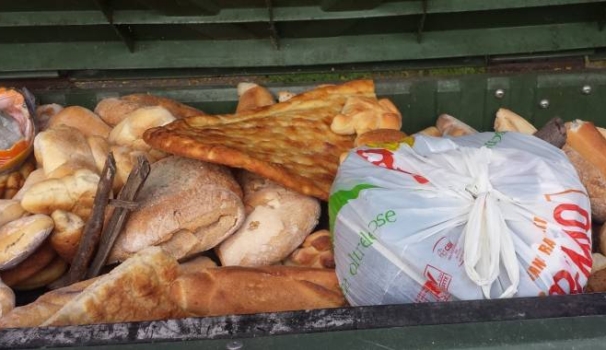 Risultati immagini per pane nei cassonetti