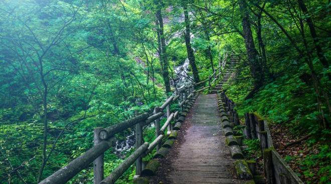 passeggiate in montagna in solitaria 5 percorsi da fare in trentino magazine quotidiano net