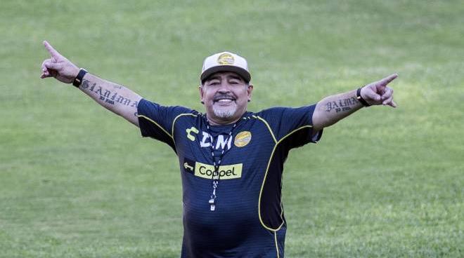 maradona storia di un campione totale sport calcio quotidiano net