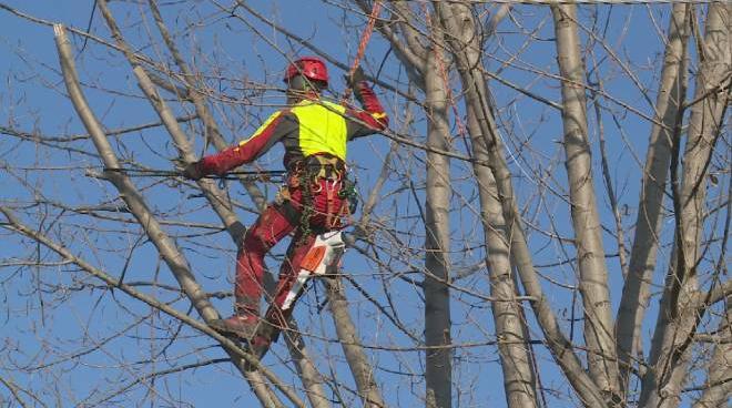 abbraccio d arno i contratti di fiume del consorzio cronaca lanazione it