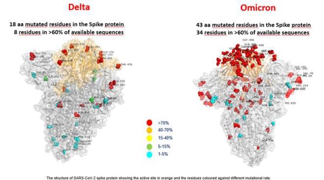 covid variante omicron primo caso confermato in italia contagiato un casertano cronaca