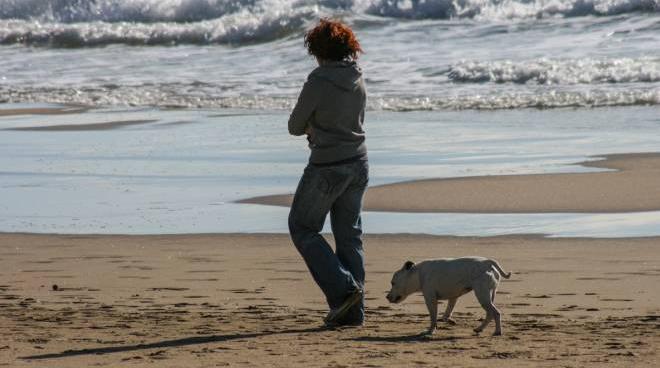 l erosione attacca di nuovo la costa spiagge toscane sempre piu a rischio cronaca lanazione it