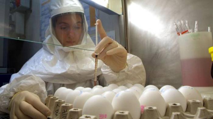 Bird flu is spreading in Canada and the United States.  “Never seen it spread so fast”