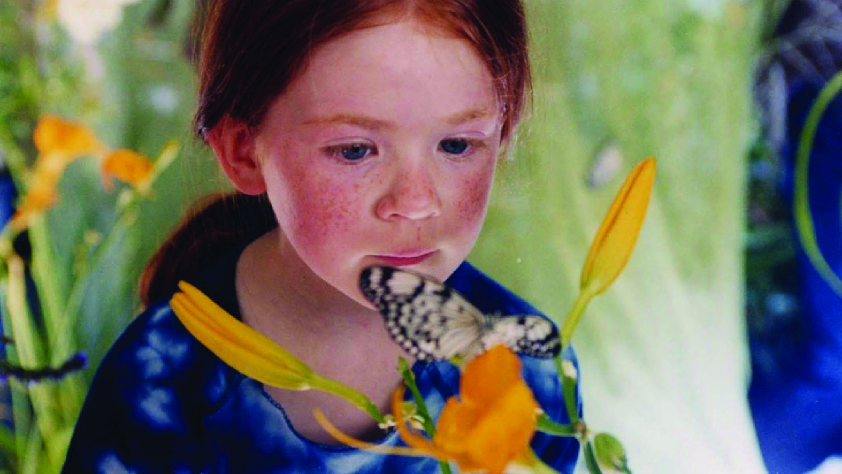 Il miracolo della farfalla