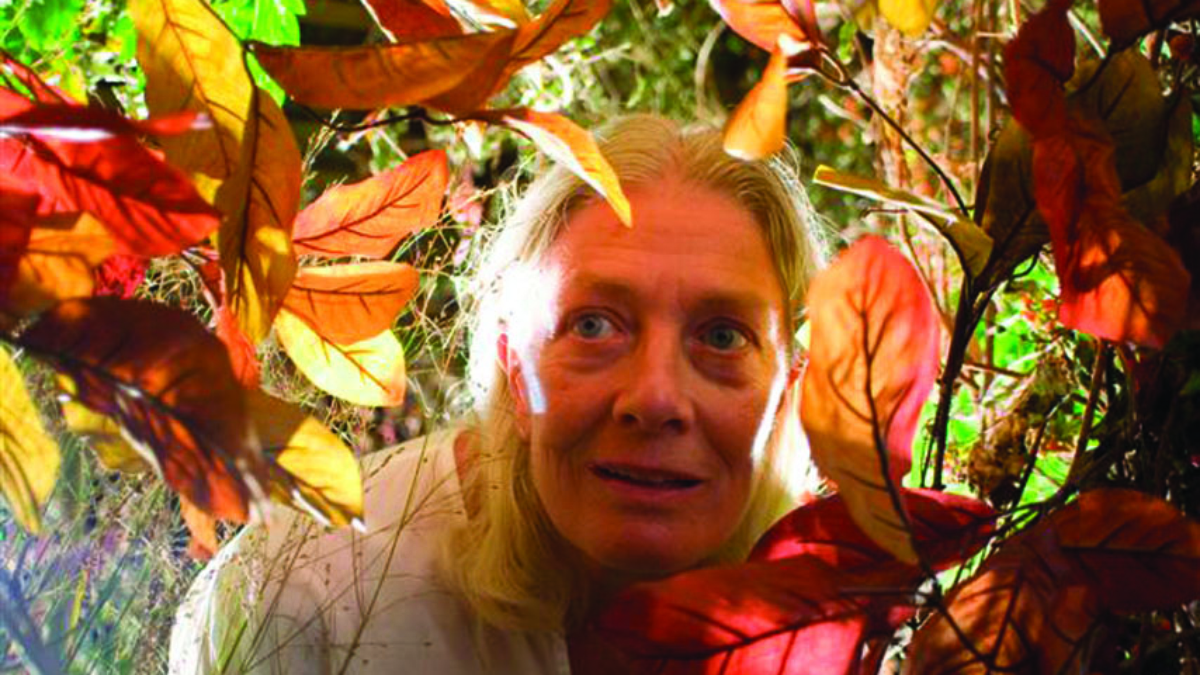 Un amore senza tempo