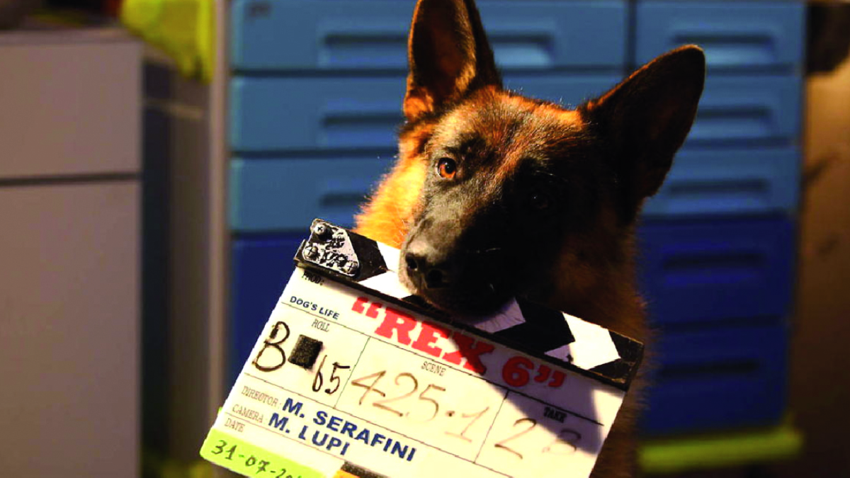 Rex-Ladri d'autore. 1a parte