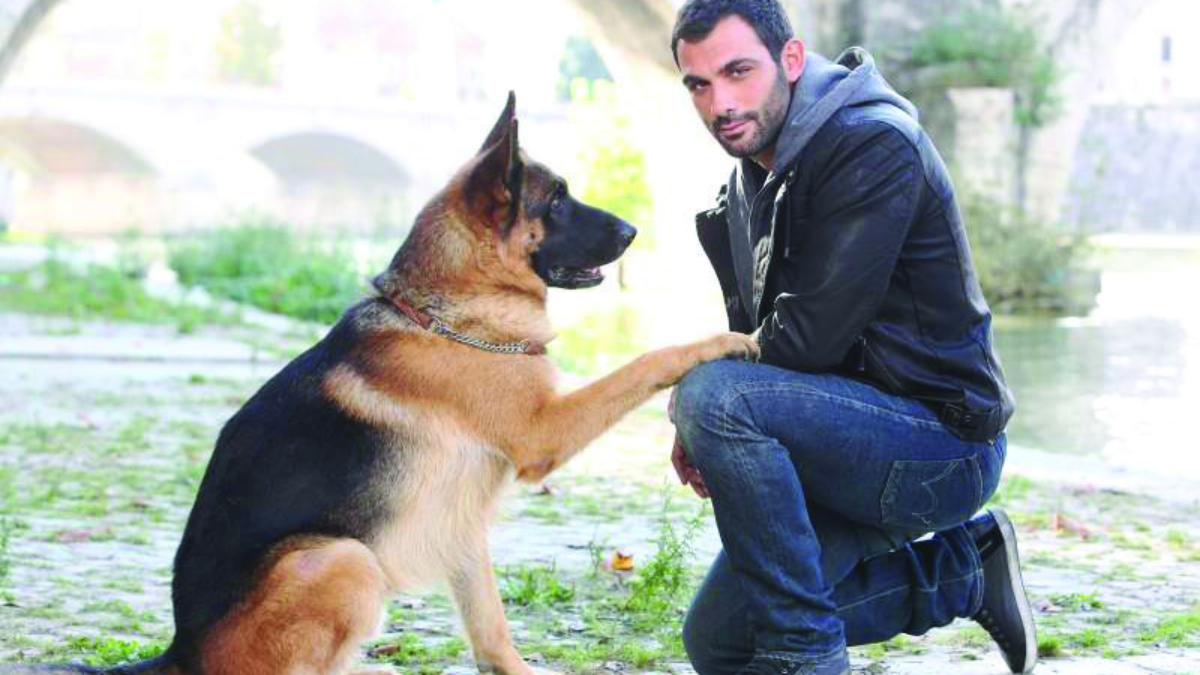 Rex-La madre di tutte le vendette