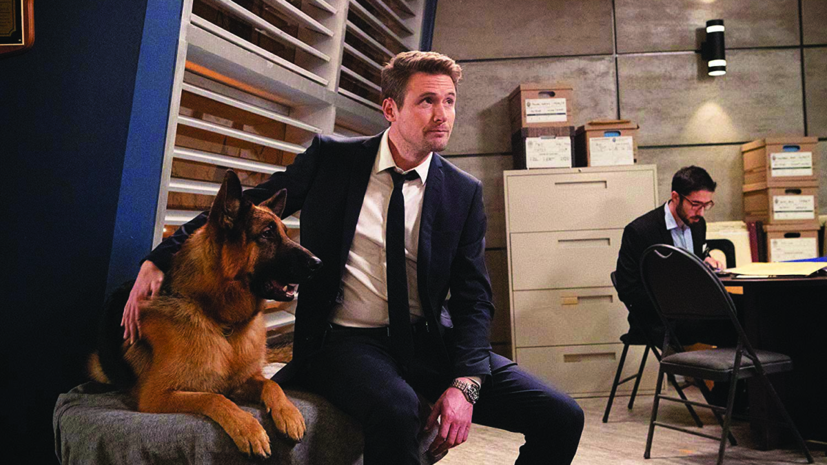 Hudson & Rex-La zia in giallo