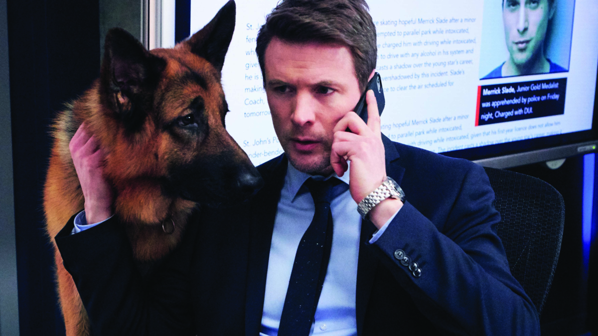 Hudson & Rex-La caccia