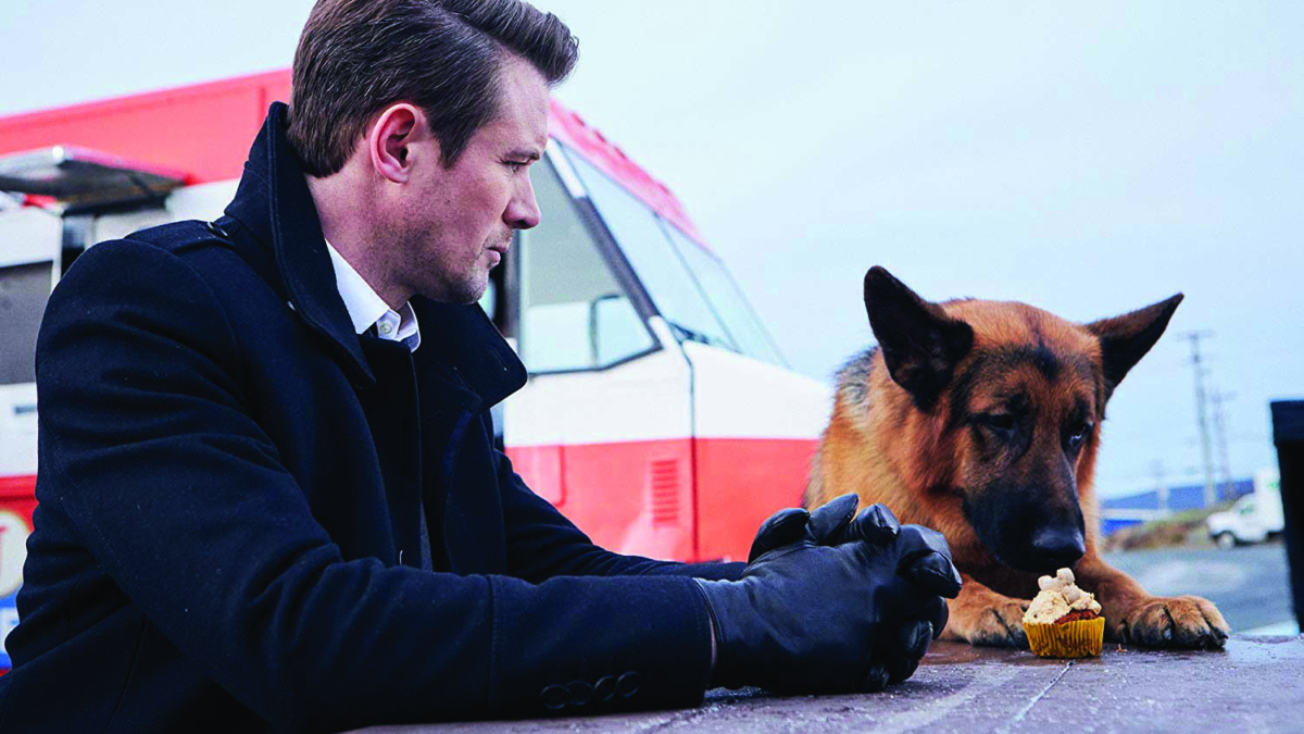 Hudson & Rex-Un caso intricato