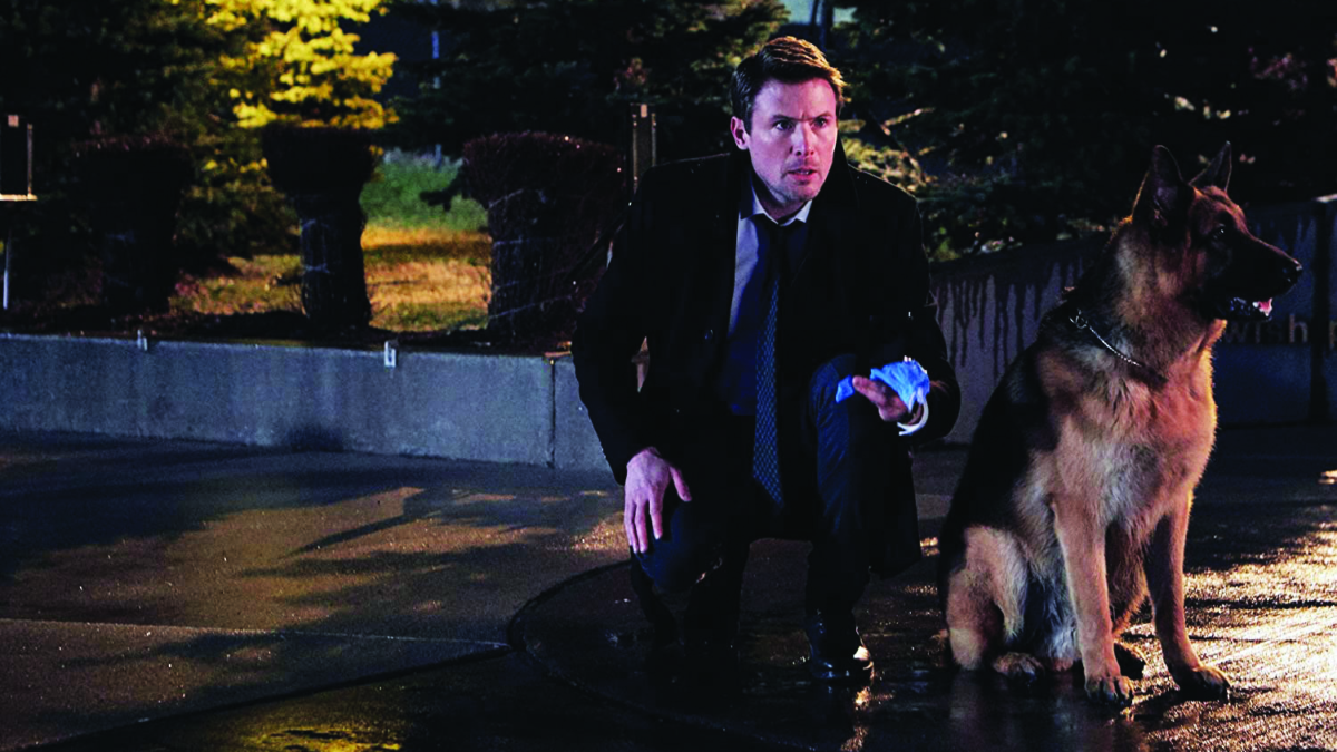 Hudson & Rex-Strani fenomeni