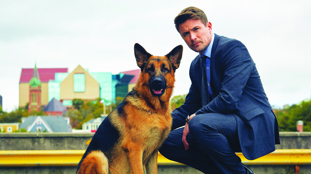 Hudson & Rex-Caccia all'uomo