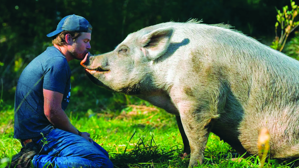 La mia vita è una fattoria