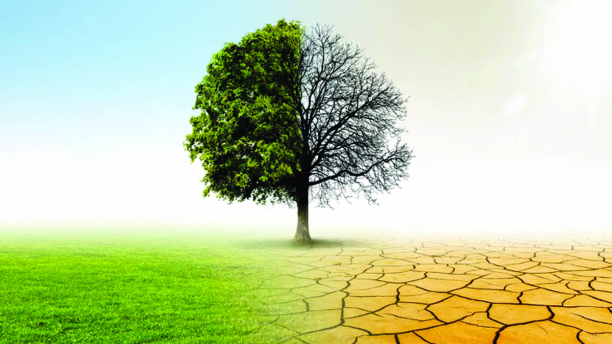 Di là dal fiume e tra gli alberi