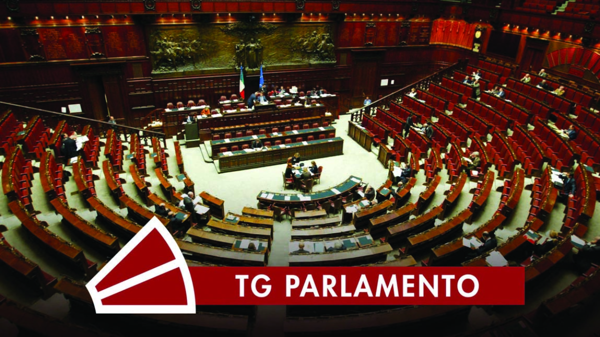 Rai Parlamento Telegiornale