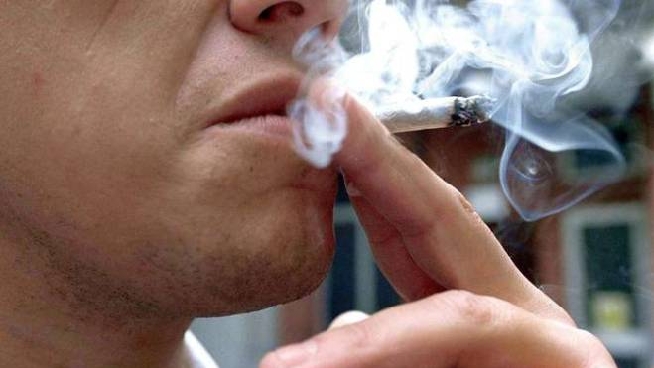 Marijuana Apre Il Primo Cannacamp Un Resort Dove Fumare In Liberta Curiosita Quotidiano Net