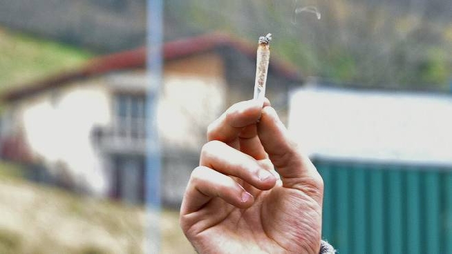 Legnano Picchia La Madre Gli Aveva Negato I Soldi Per Farsi Una Canna Cronaca Ilgiorno It