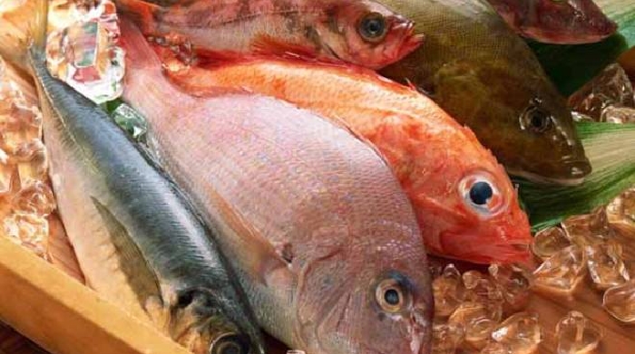 Export Dalla Lombardia Parte Un Terzo Del Pesce Italiano Cronaca Ilgiorno It