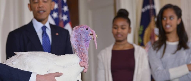 Thanksgiving L Ironia Del Web Quando Turkey Vuol Dire Sia Turchia Che Tacchino Esteri