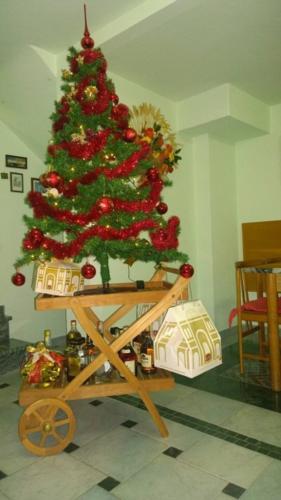 I Vostri Alberi Di Natale Illuminano Le Feste Curiosita Lanazione It