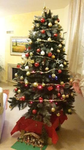 I Vostri Alberi Di Natale Illuminano Le Feste Curiosita Lanazione It