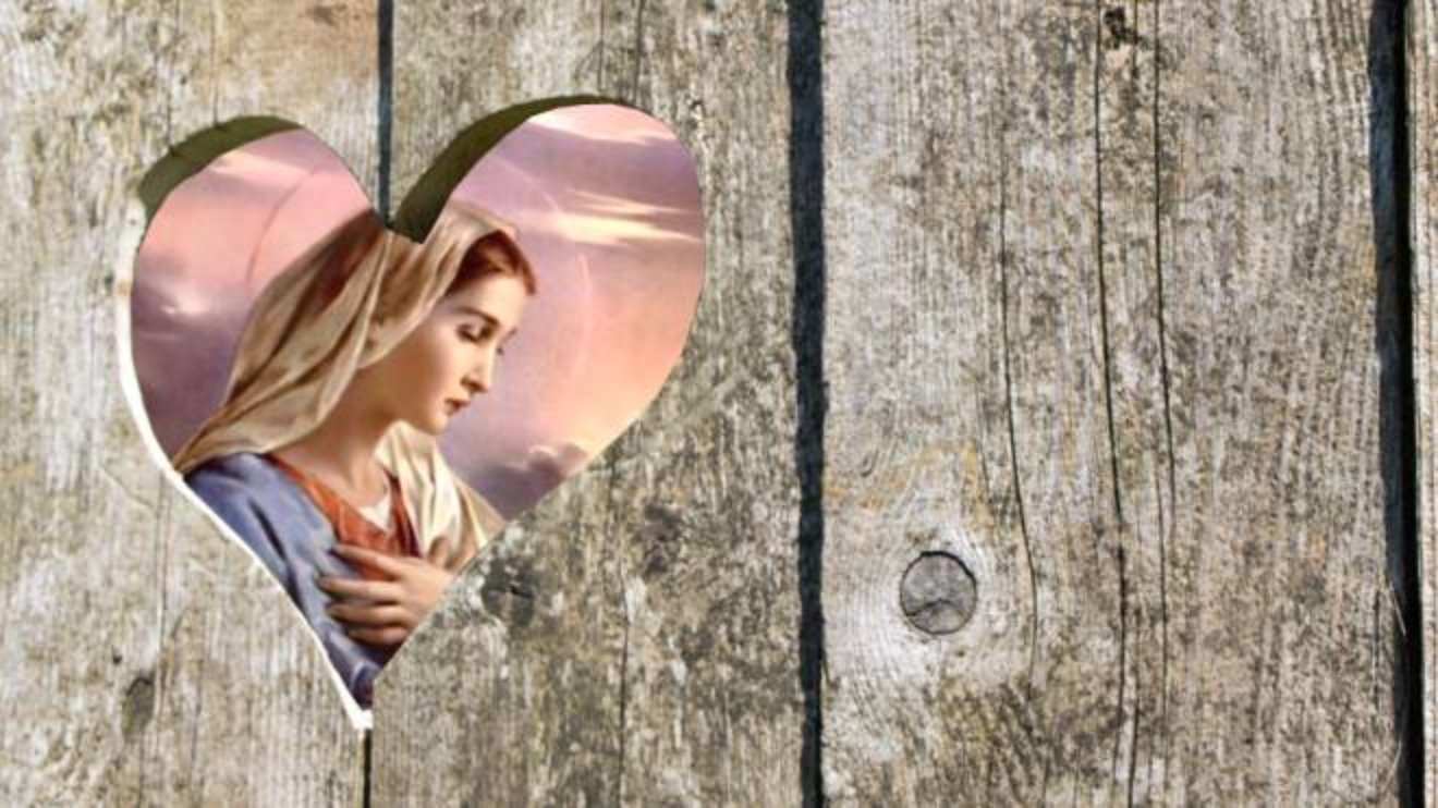 Festa Dell Immacolata Perche Si Celebra L 8 Dicembre Cronaca Quotidiano Net