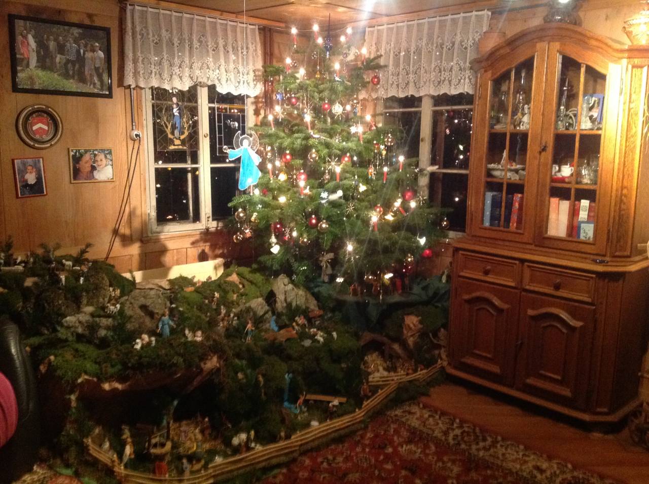 Alberi Di Natale E Presepi Ecco Le Foto Dei Nostri Lettori Le Nostre Iniziative Lanazione It