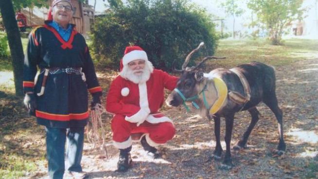 Castellarano I Lupi Sbranano Le Renne Di Babbo Natale Cronaca Ilrestodelcarlino It