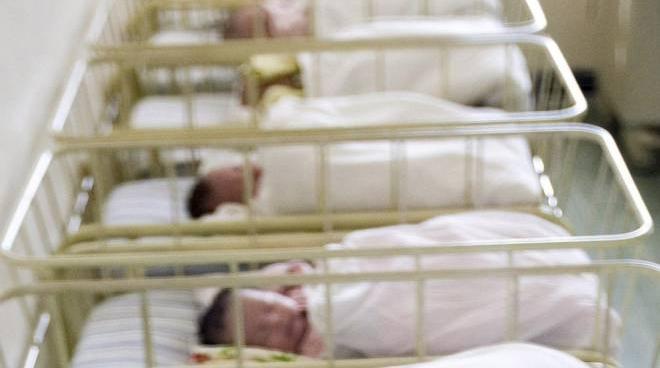 Neonati in ospedale (Ansa)