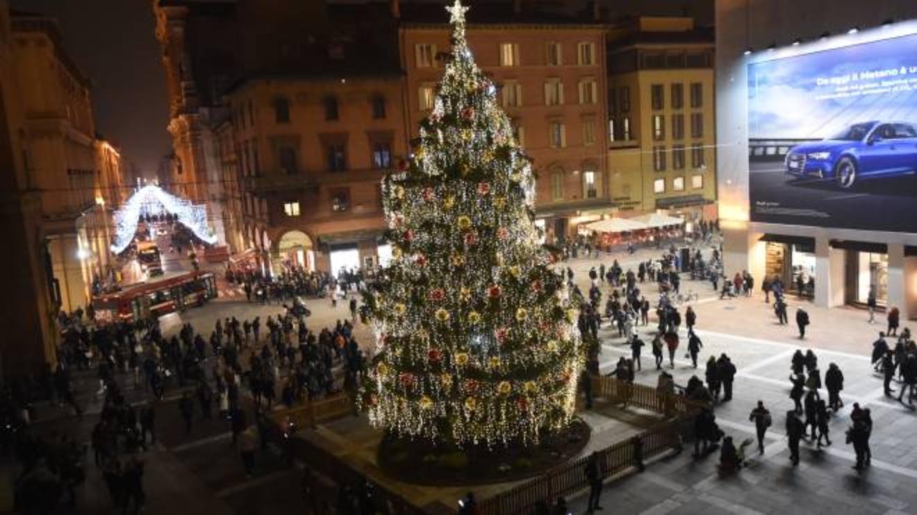 Bologna L Albero Di Natale Illumina Piazza Nettuno Foto E Video Cronaca Ilrestodelcarlino It