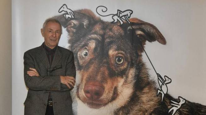Dodici Mesi Con Bozzetto Cani E Gatti Diventano Interpreti Cronaca Ilgiorno It