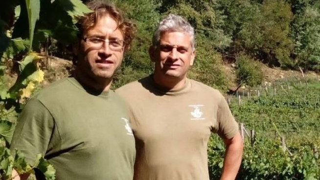 I fratelli Manolo e Alessandro Luchini nei loro vigneti a Monti di Licciana Nardi