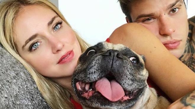 La Mania Dei Vip Per I Bulldog Con Il Profilo Instagram Showbiz Quotidiano Net