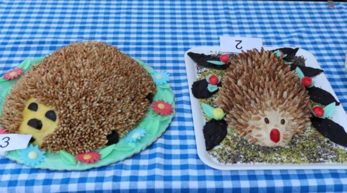 Festa Del Porcospino A Mercato Saraceno Vince Roberta Sampaoli Cronaca Ilrestodelcarlino It