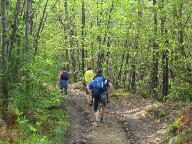 Bologna Sentieri In Mezzo Alla Natura Ecco Dove Andare Cosa Fare Ilrestodelcarlino It