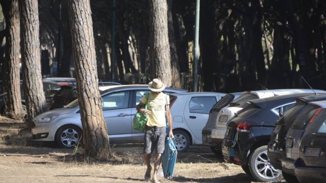 Toscana I Parcheggi Al Mare Le Tariffe Sono Un Salasso Ecco I Prezzi Cronaca Lanazione It
