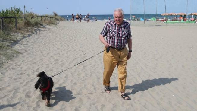 Cani In Spiaggia Nuova Area A Lido Di Savio Cronaca