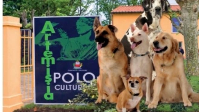 A Capannori La Mostra Canina Cosa Fare Lanazione It