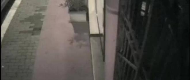 Assalto Alla Gioielleria De Santis Vogliamo Telecamere Anche Qui Video Cronaca