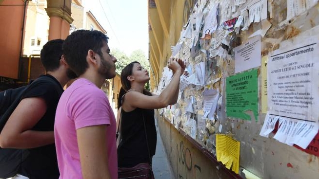 bologna studenti a caccia di una casa