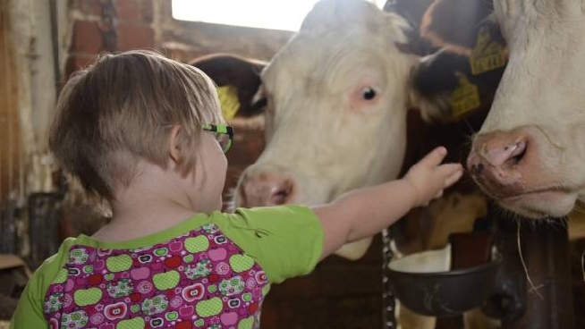 Fattorie Didattiche Nel Lazio Le Piu Belle E Particolari Tempo Libero Quotidiano Net