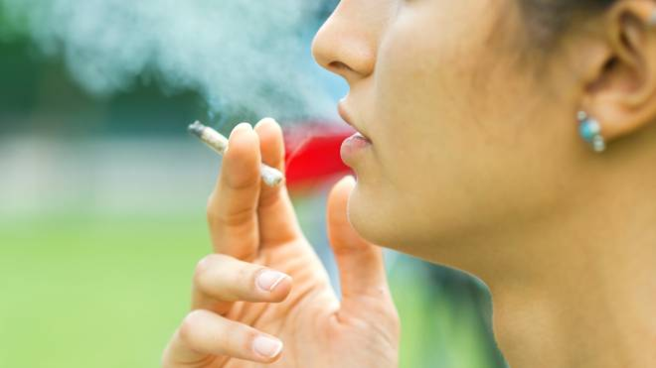 Il Trucco Della Cannabis Leggera Basta Un Mix Ed E Vera Droga Cronaca Quotidiano Net