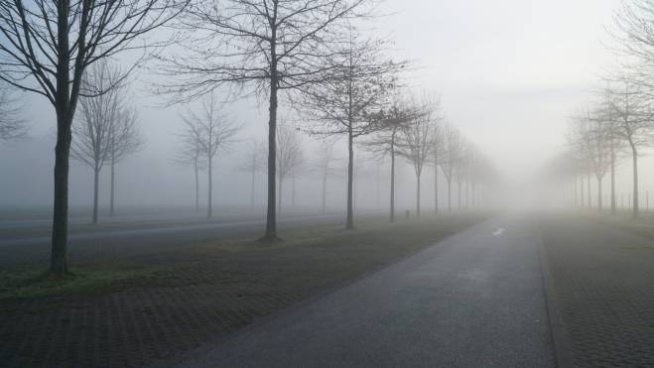 Previsioni nebbia Previsioni nebbia