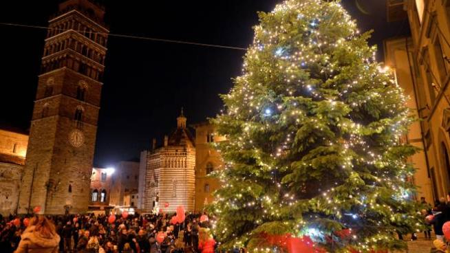 Albero Acceso E Cori Dei Bimbi Arriva Il Natale Cronaca Lanazione It