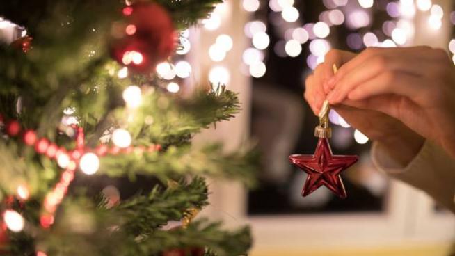 Quale Albero Di Natale Scegliere Magazine Quotidiano Net
