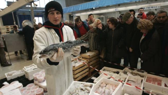 Milano Un Nuovo Marchio Di Qualita Per Il Mercato Ittico Cronaca Ilgiorno It