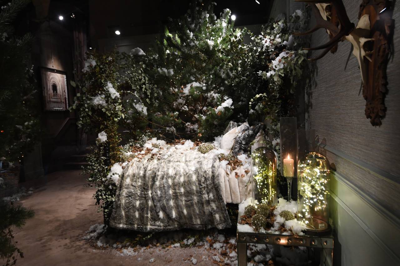 Vetrine Di Natale 2018 10 Addobbi Da Ammirare A Bologna Foto Cosa Fare Ilrestodelcarlino It