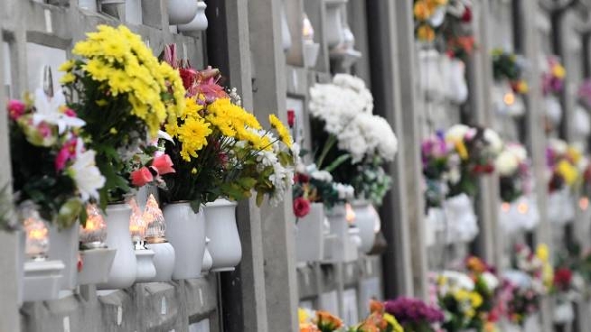 Bologna Spaccio Al Cimitero Finte Visite Per Consegnare La Cocaina Cronaca Ilrestodelcarlino It