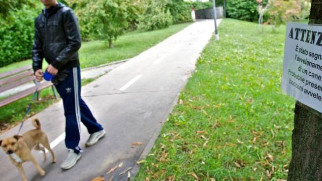 Allarme bocconi avvelenati