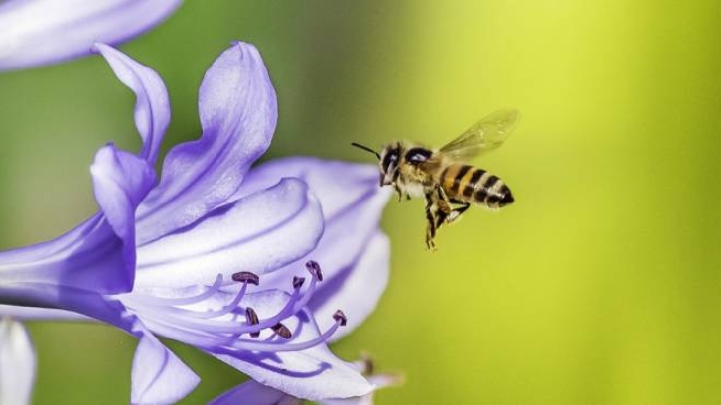 Risultati immagini per Solo chi semina sincerità , raccoglierà il prezioso fiore della fiducia. Aurora Sisi Composta lunedì 14 gennaio 2019 Fiducia - da PensieriParole.it <https://www.pensieriparole.it/aforismi/fiducia>